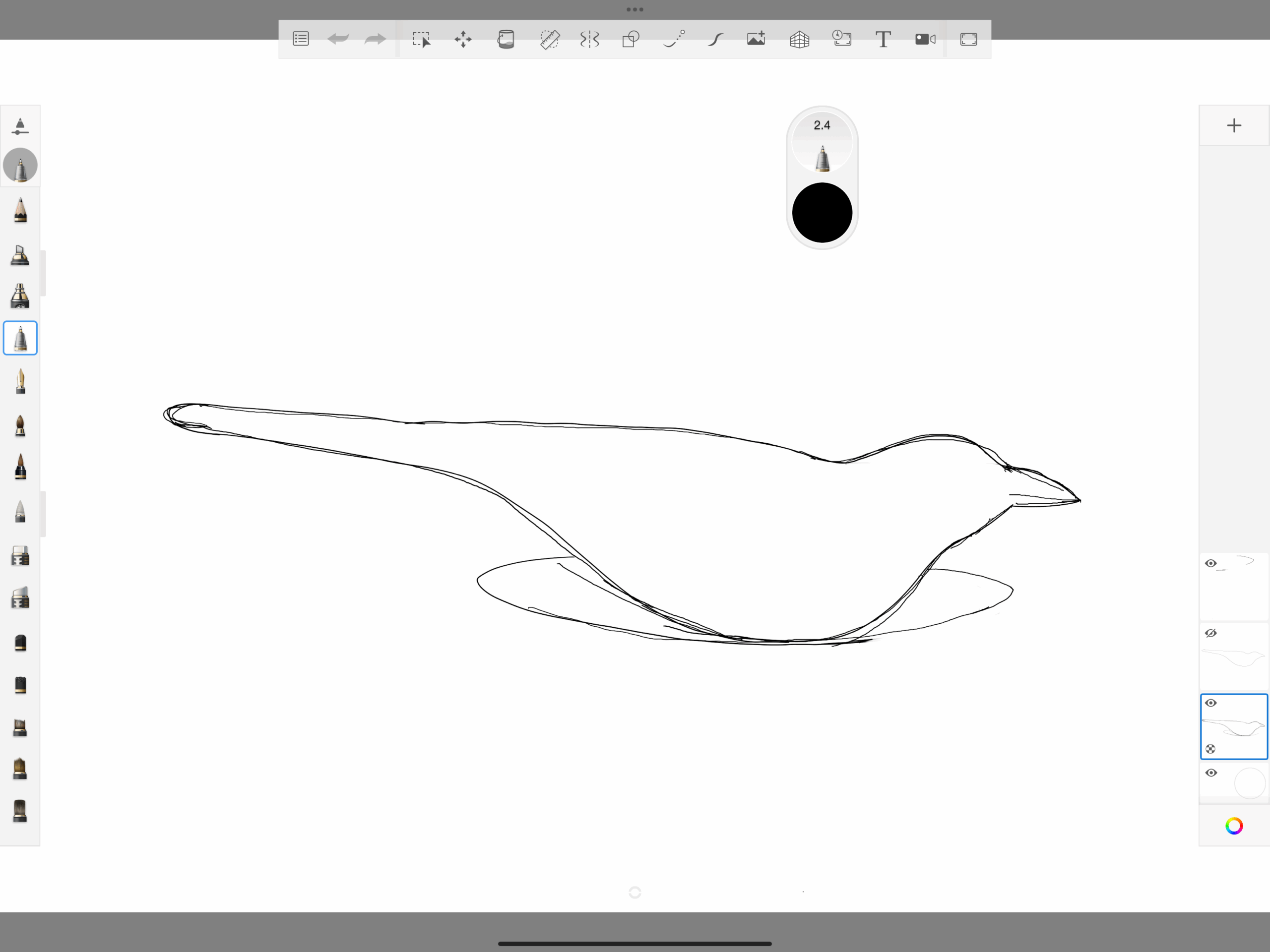 0 Nir SIvan Bird Brazil 0 ORIGINAL SKETCH