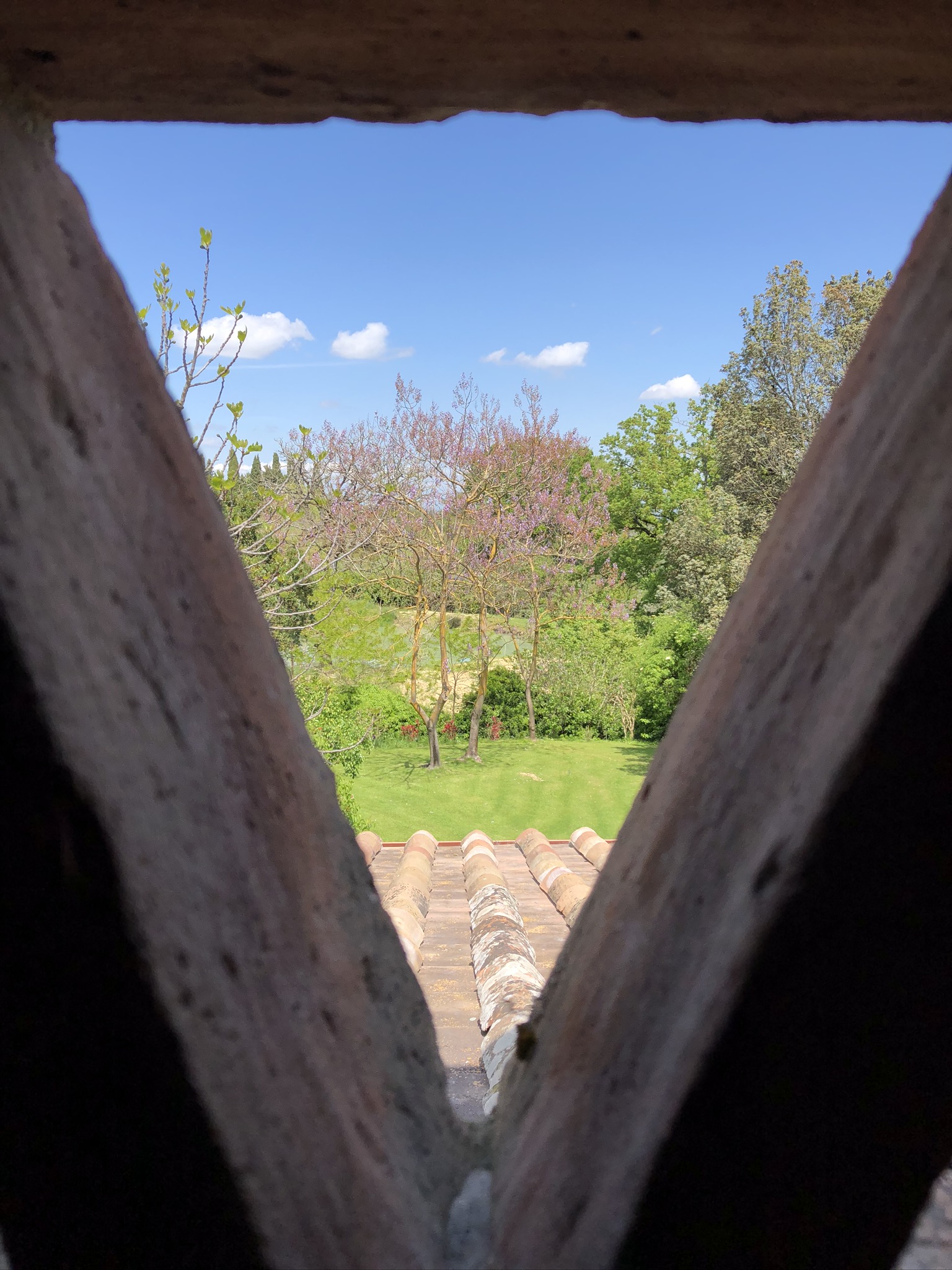 IMG_6914 Tuscany Nir Sivan Architects