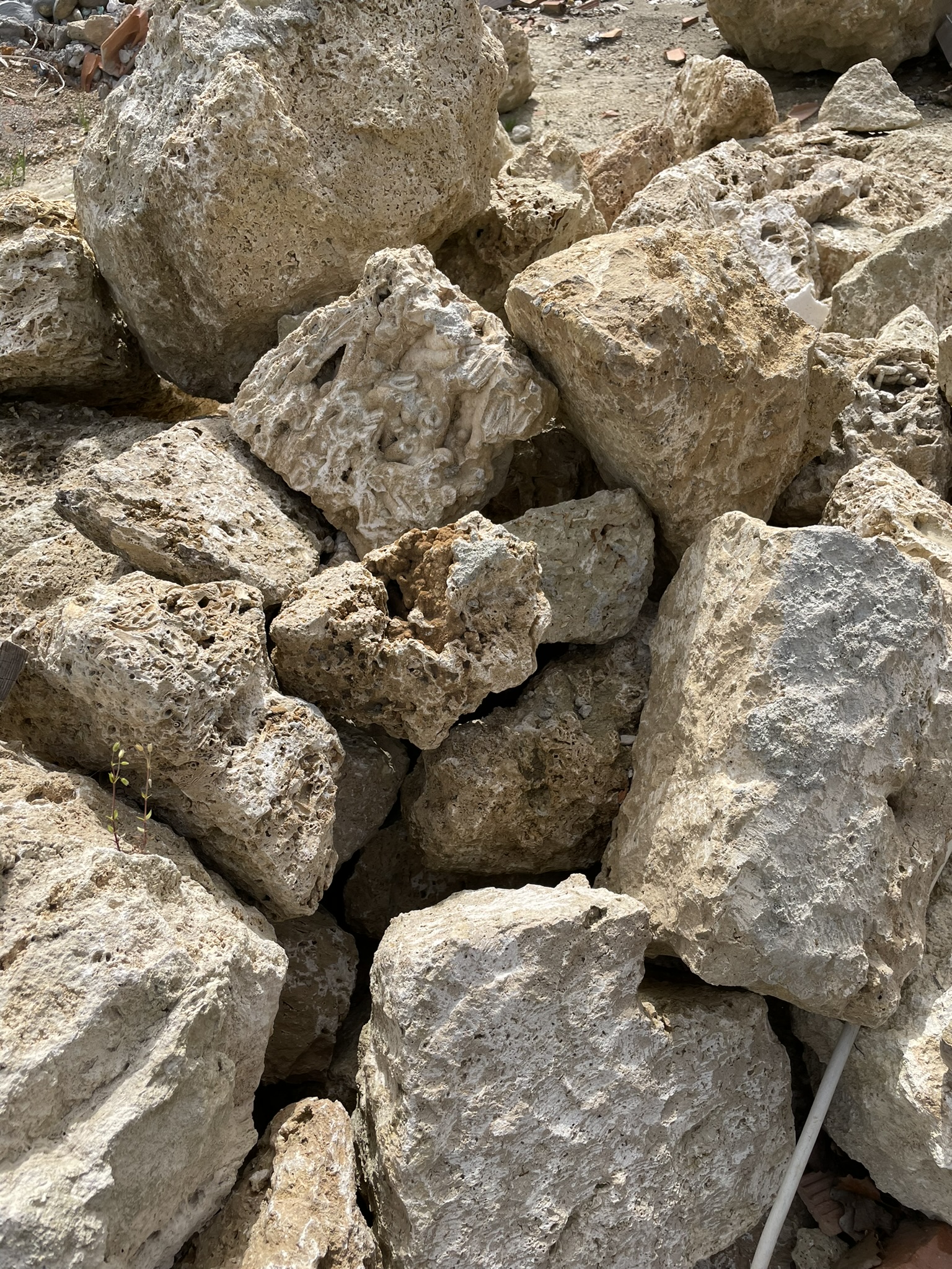 IMG_8698 Tuscany Nir Sivan Architects