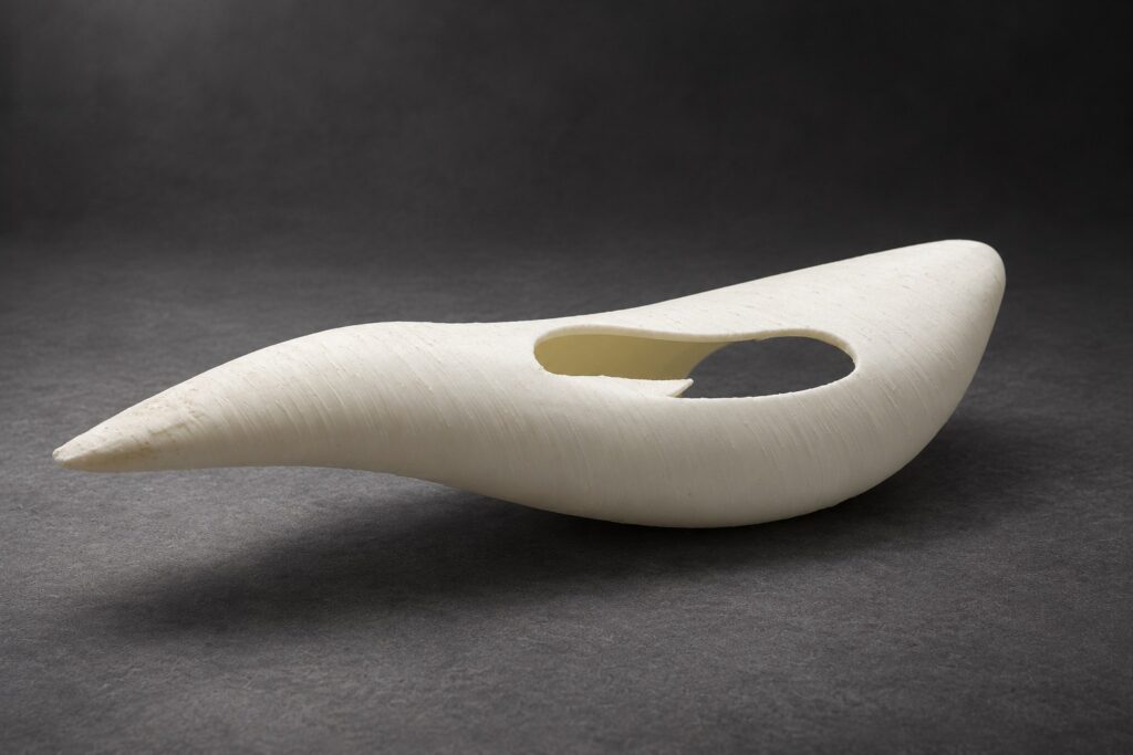 Nir Sivan Architects – Brazilian bird, Sabiá (2025): the 3D-printed bird, a thin white shell with its opening, seen low (cinematic light)