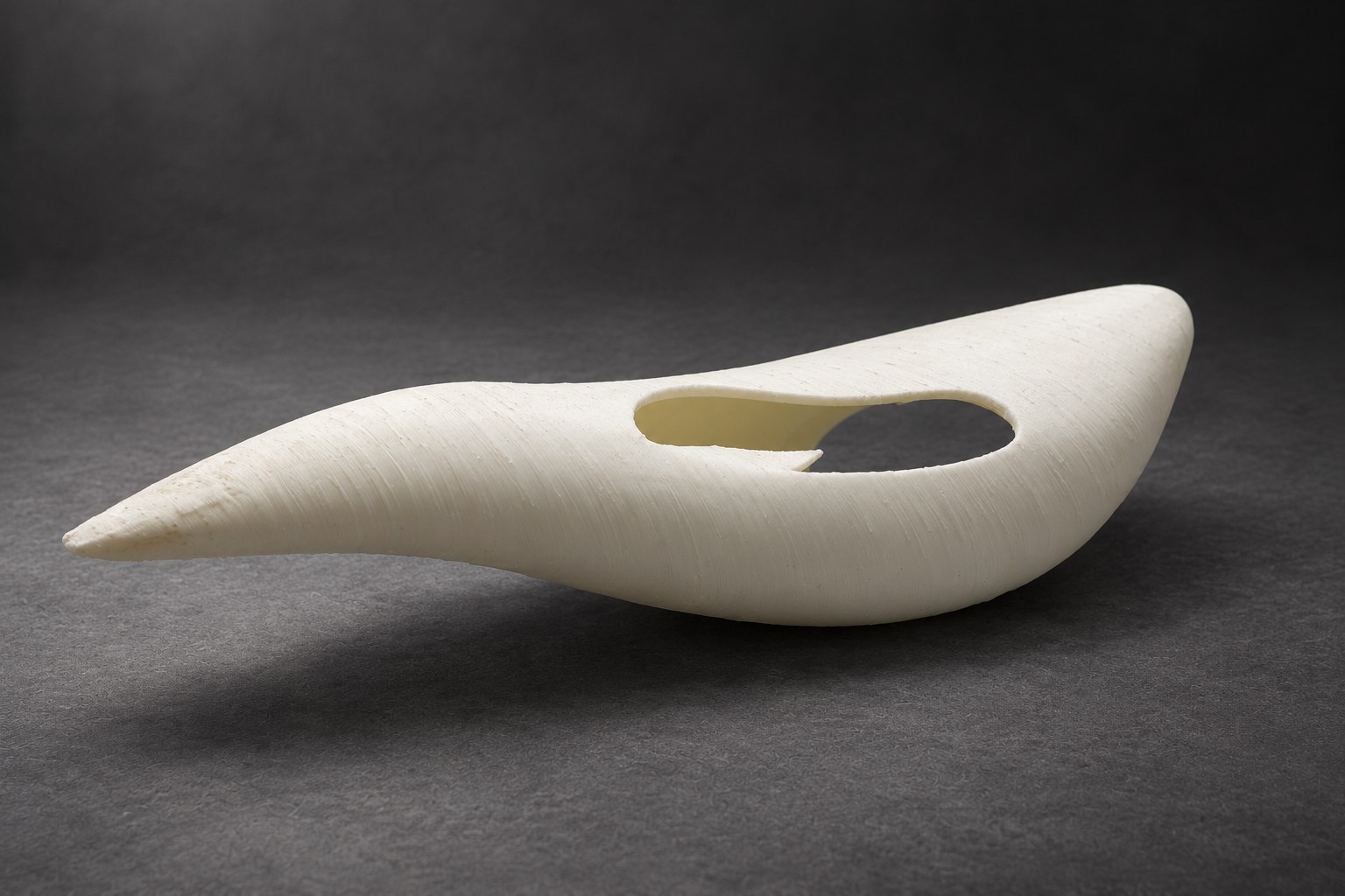 3D-PRINTED STUDY, SABIÁ