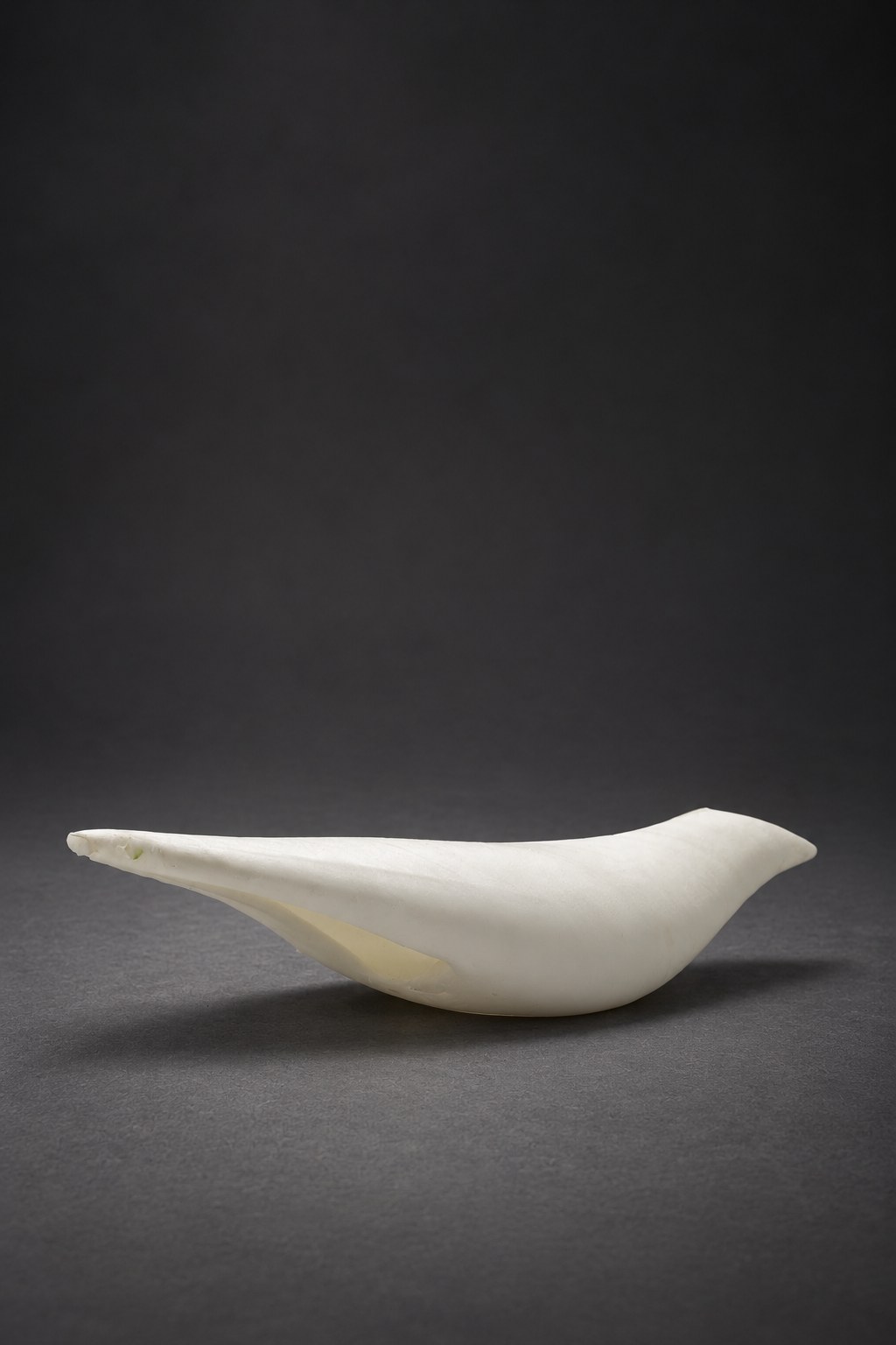 Nir Sivan Architects – Brazilian bird, Sabiá (2025): the 3D-printed bird seen from the other side