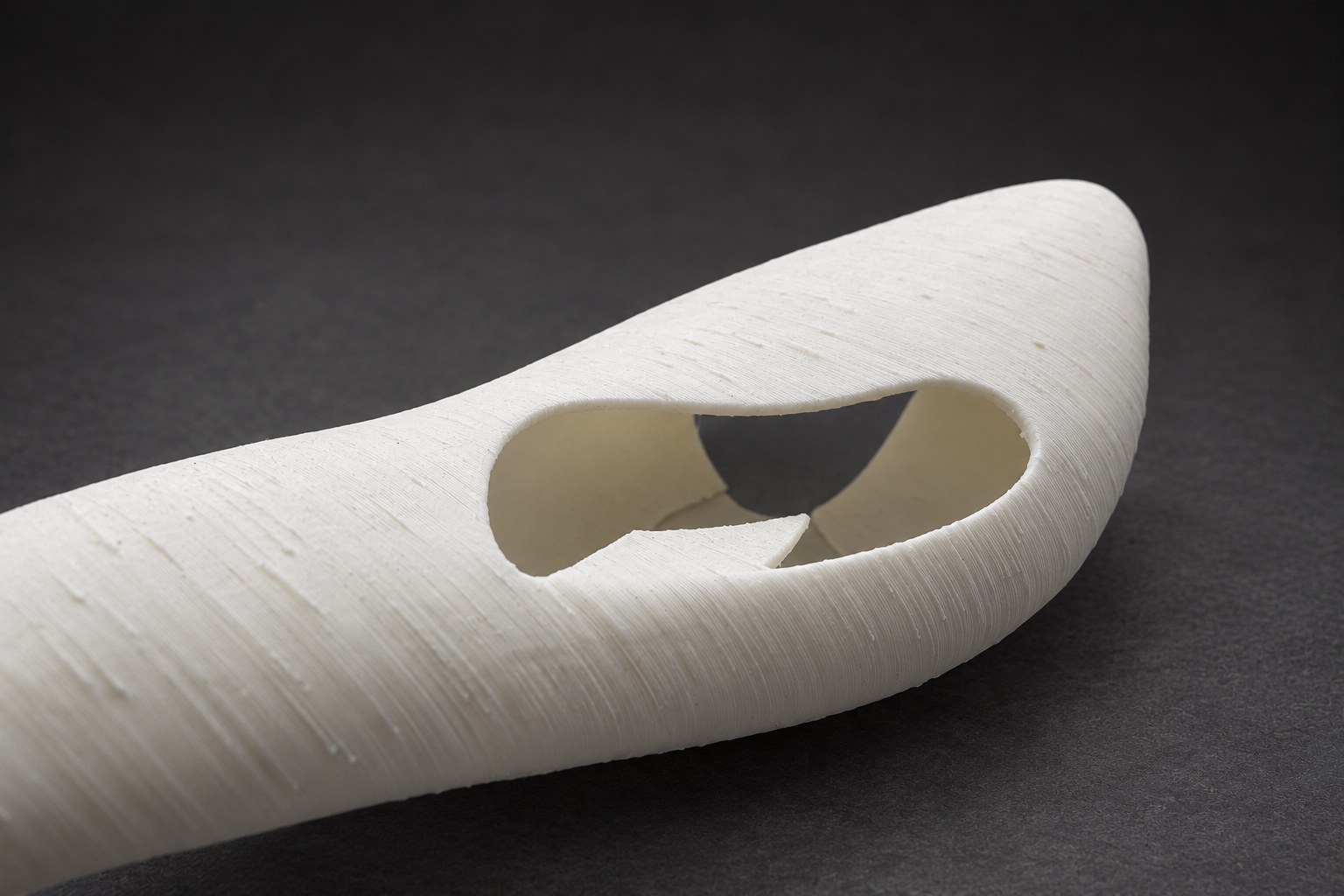 Nir Sivan Architects – Brazilian bird, Sabiá (2025): close-up of the opening and the print layers