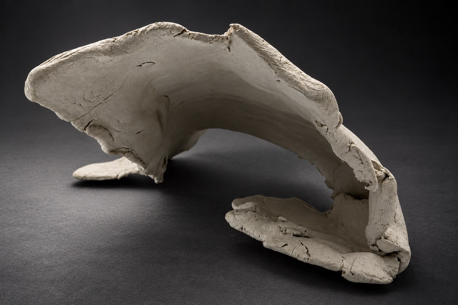 CLAY STUDY, ONDA CARIOCA