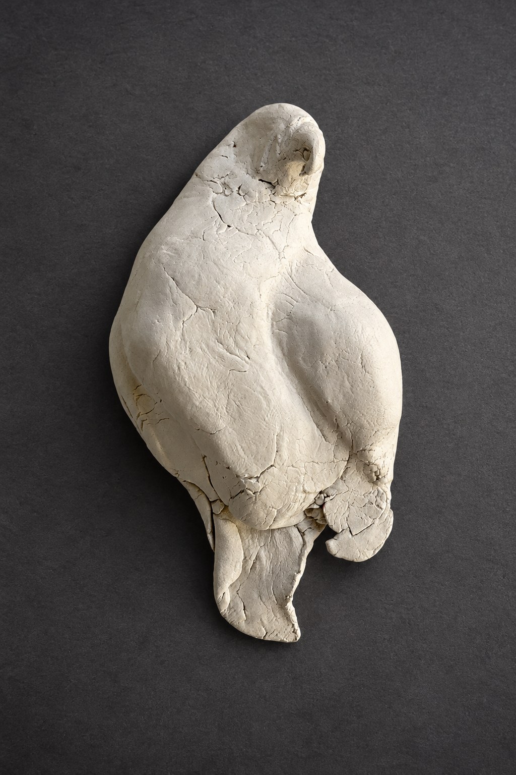 Nir Sivan Architects – Falcon, Vision in Flight (2025): the falcon sculpted by hand in white clay, seen from above (cinematic light)