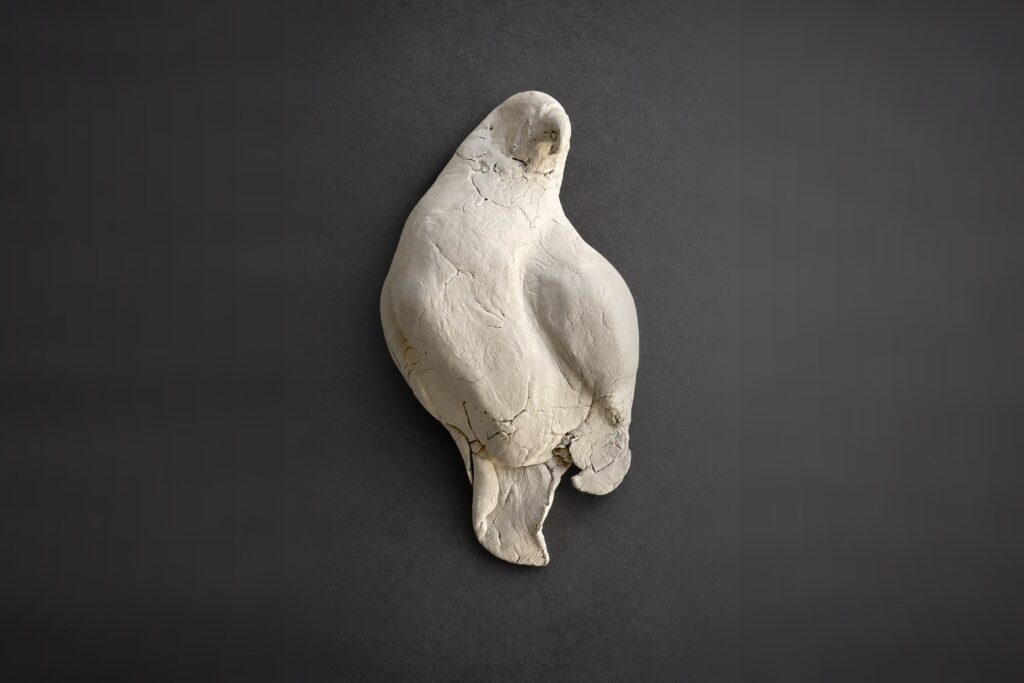 Nir Sivan Architects – Falcon, Vision in Flight (2025): the falcon sculpted by hand in white clay, seen from above (cinematic light)