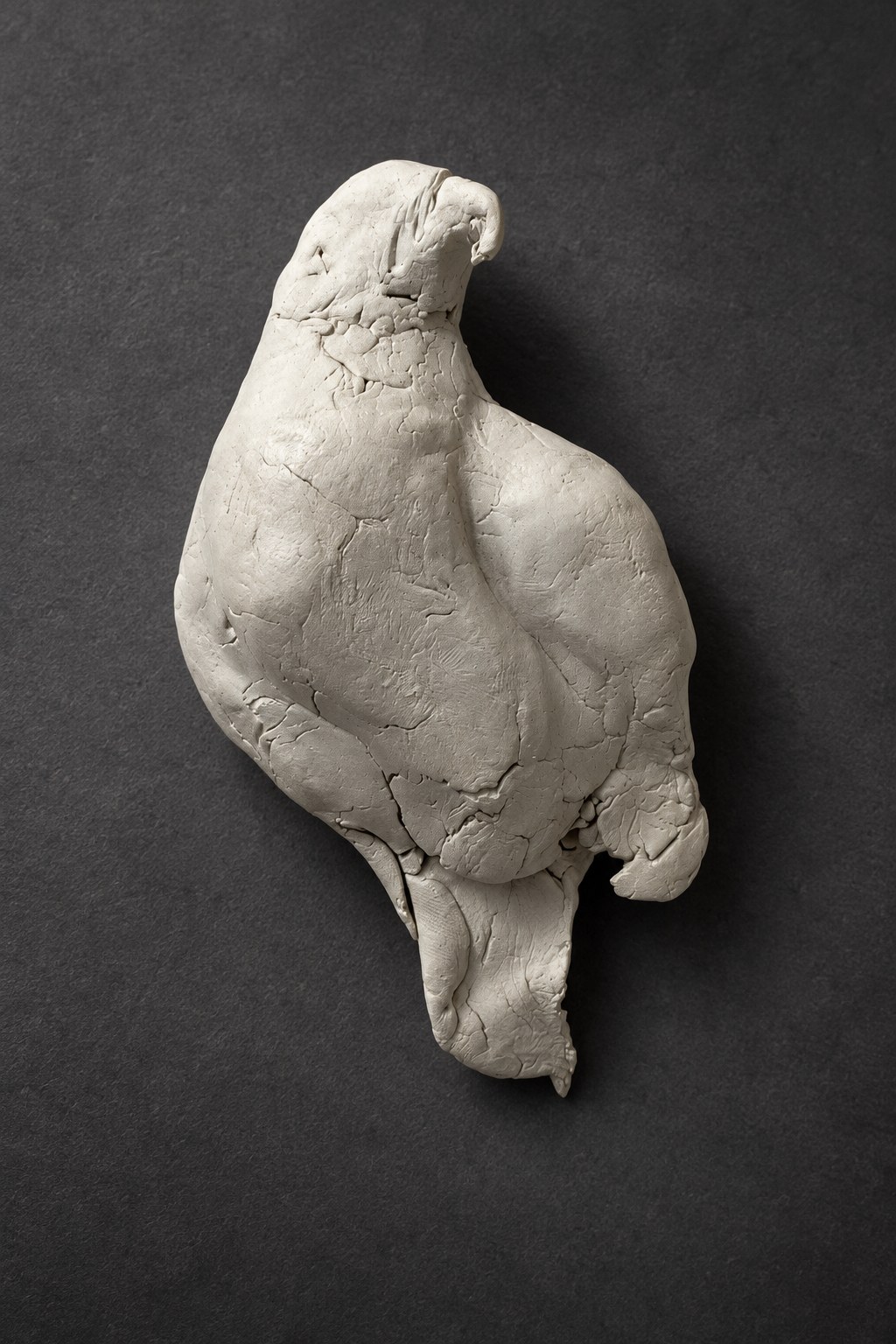 Nir Sivan Architects – Falcon, Vision in Flight (2025): the clay falcon seen from above (cinematic light)