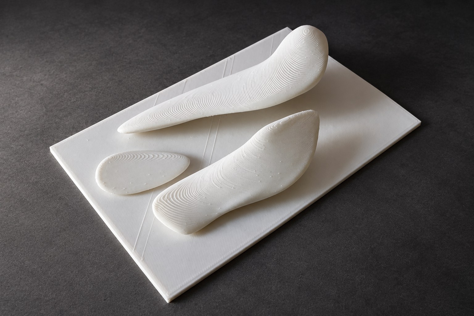Nir Sivan Architects – Falcon, Vision in Flight (2025): the three 3D-printed volumes on their board, seen low