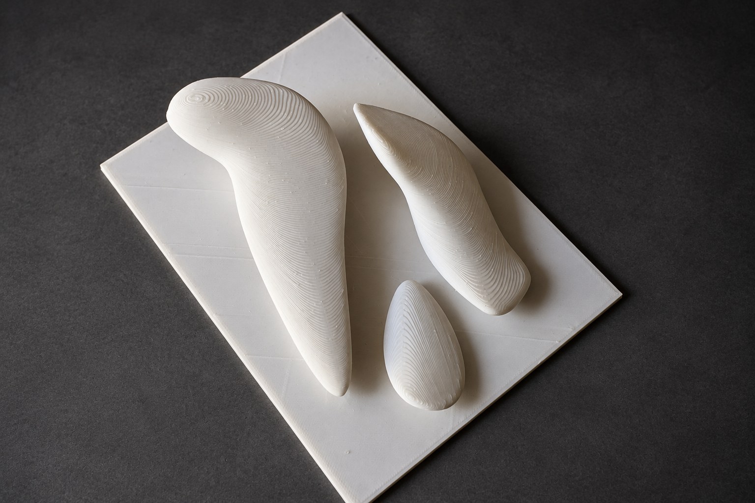 Nir Sivan Architects – Falcon, Vision in Flight (2025): the three 3D-printed volumes on their board, seen from above