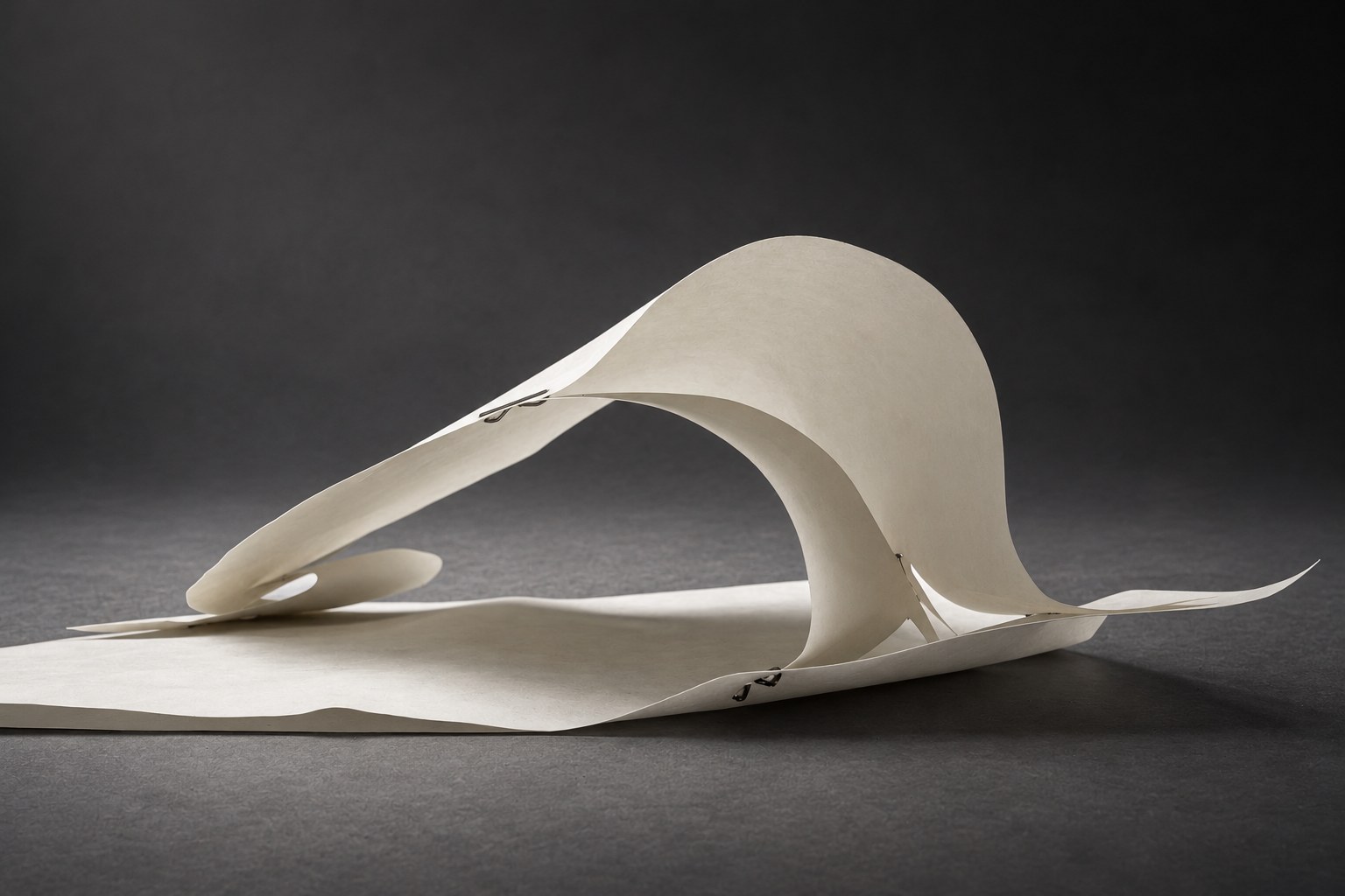 PAPER STUDY, ONDA CARIOCA