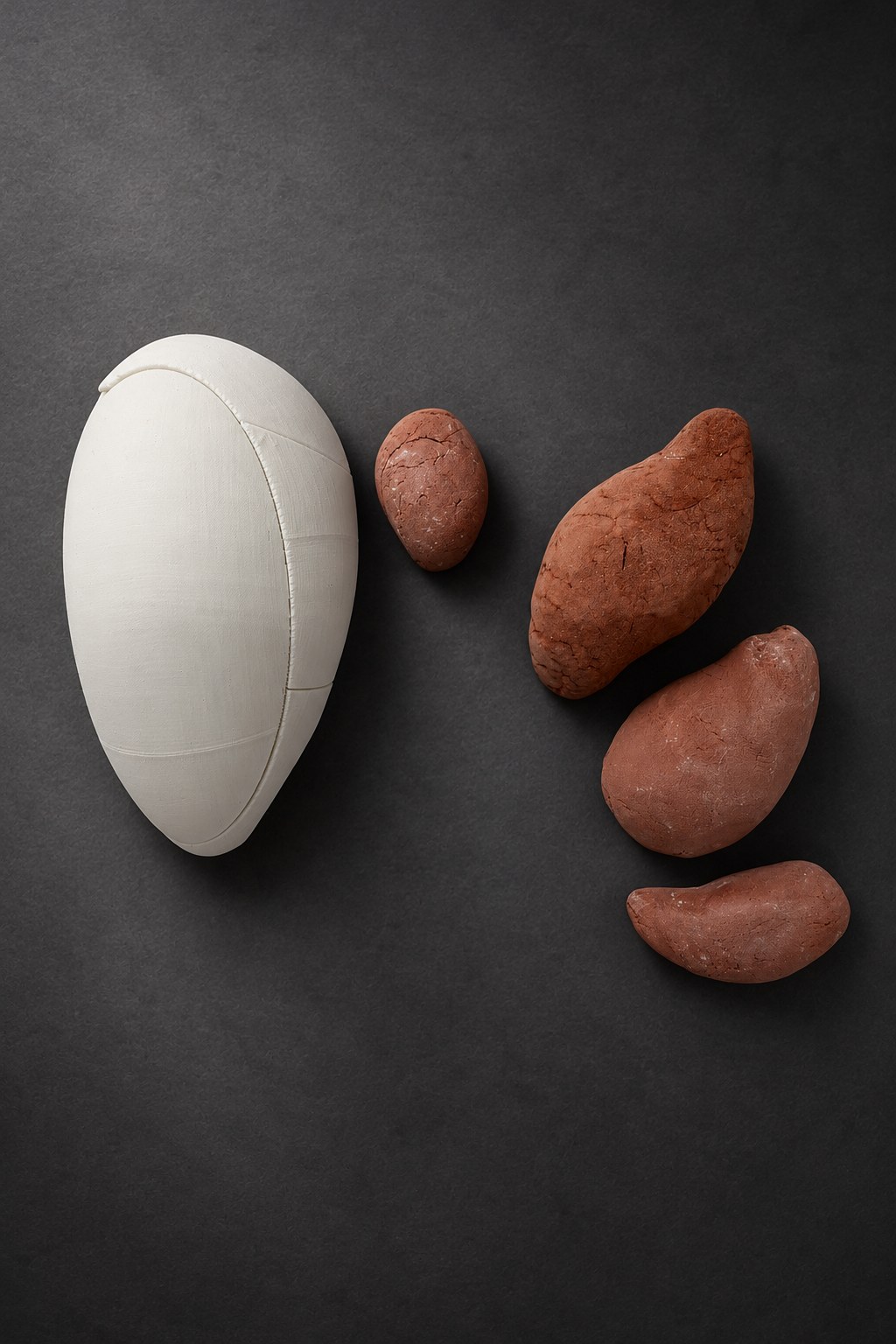 Nir Sivan Architects – Clay and 3D-print studies for Selva, Costa Rica (2025): the 3D print and four clay bodies seen from above